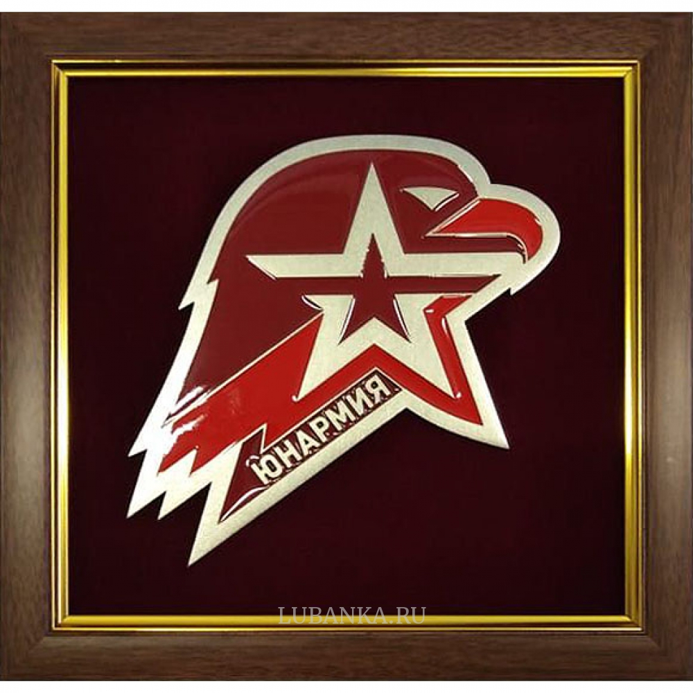 Плакетка «Эмблема Юнармии»